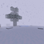 Arctic Spore Apocalypse. logo