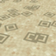 DarkSteps logo