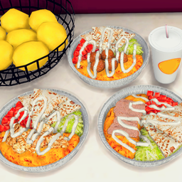 Halal Custom Food Gyro Platters Part 1 project image