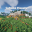 Sublime Visuals logo