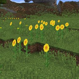 Sunflower Pack logo
