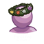 klimter Festive Trait / translation spanish by Monisims logo
