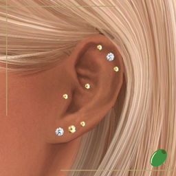 Gina Piercings project image