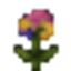 Forest of Pride! 🌈 logo