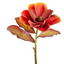 Faded magnolia logo