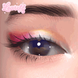 [Learxfl] Eyeshadows N17 logo