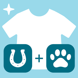 Outfit Companions project image