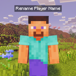 Player Name Renamer - Achievement Friendly project image