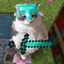 Blliz SMP logo