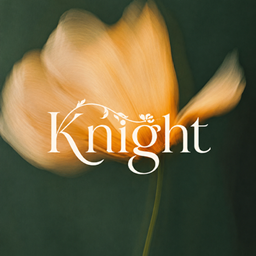 Knight Shaders project image