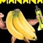 Coco Land The Squeakuel logo