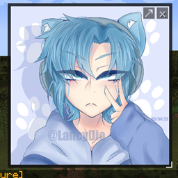 Lia's Media player