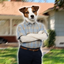 Sheldon Lee Cooper You Dog Totem logo