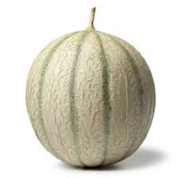 Pays Du Melon