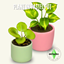 Plant in Pastel Pot logo