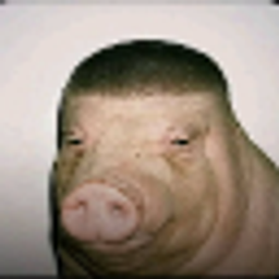 WigPig Paintings logo