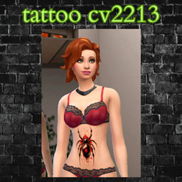 tattoo cv2213 project image