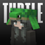 Cute Turtle Helmet V2 logo