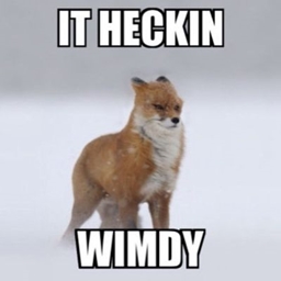 wimdy gears