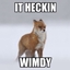 wimdy gears logo