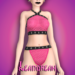 Okkult Hex Fishnet Lingerie project image