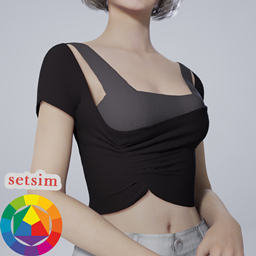 Setsim top #6 logo