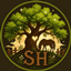 Official Safe Haven logo