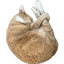 Vamooses Companions logo
