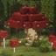 CelestiaCraft logo