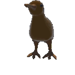 Kiwi's Random Stuff [[AI Experiment 1]] logo