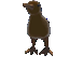 Kiwi's Random Stuff [[AI Experiment 1]] logo