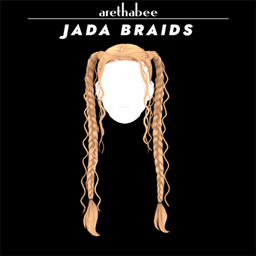 Jada Braids project image