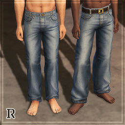 Celine Jeans project image