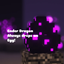DragonDropsEgg logo