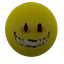 Verity (Addon) PE logo