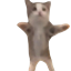 Happy Happy Cat Meme Totem logo