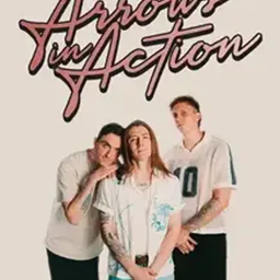 Arrows In Action Posters logo