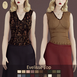 Evelisse Top project image