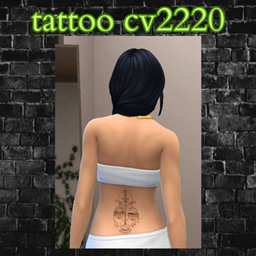 tattoo cv2220 project image
