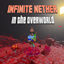 Infinite Nether in the Overworld logo