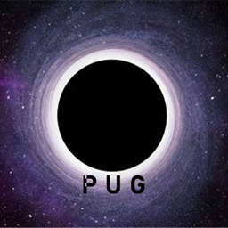 VoidPug project image