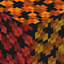 Falldrop Backport logo