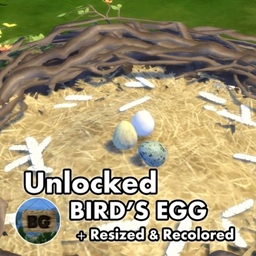 Unlocked Bird's Egg ~ Bird ~ Animal ~ Pet project image