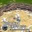 Unlocked Bird's Egg ~ Bird ~ Animal ~ Pet logo