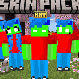 Ray skins project image