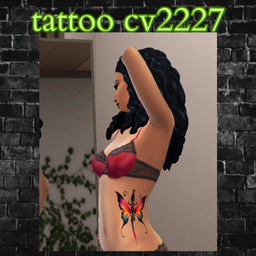 tattoo cv2227 project image