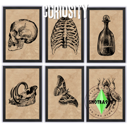 Curiosity paintings project image
