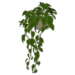 Comiko - Modern Farm Kitchen Falling Plant project image
