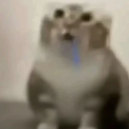Cat meme totem logo