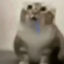 Cat meme totem logo